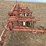 lilliston-rolling-cultivator-image-11