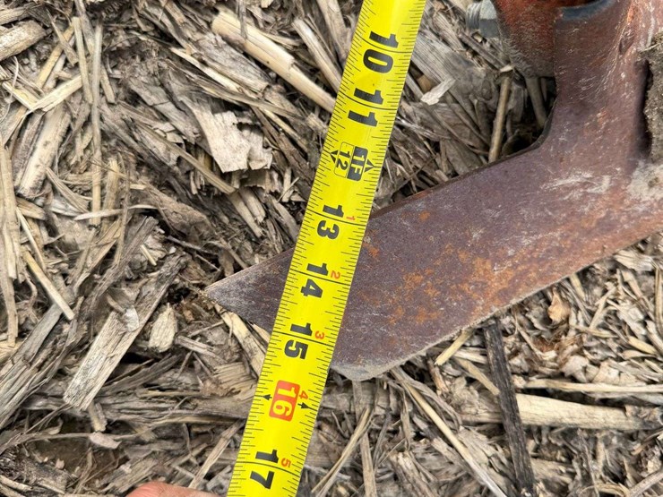 lilliston-rolling-cultivator-image-18