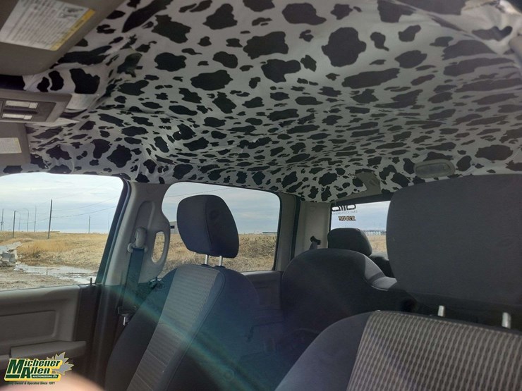 2010-dodge-ram-1500-image-18