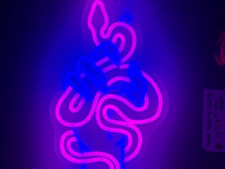 new-snake-17in-x-9in-led-light-works-image-1