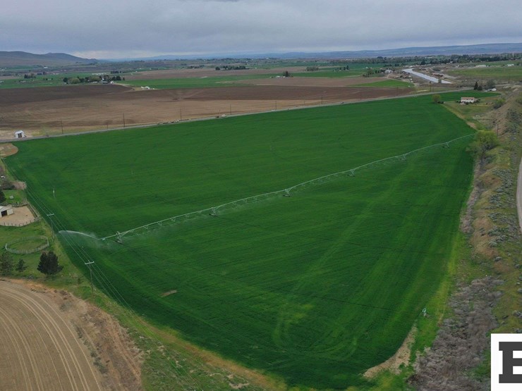 51-+/--acres-irrigated-farm-ground---adams-county,-wa-image-3