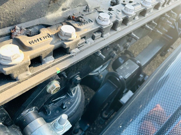 2024-international-lonestar-image-42