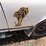 1968-chevrolet-chevelle-ss-coupe-barn-find-image-22