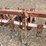 lilliston-rolling-cultivator-image-22