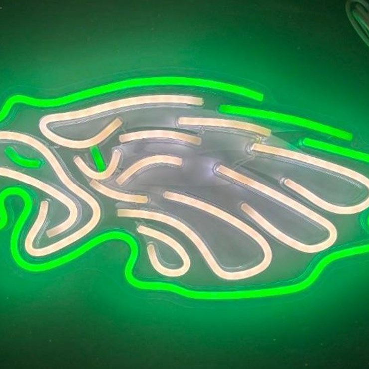 New Philadelphia Eagles 16in x 8in LED Light-Works