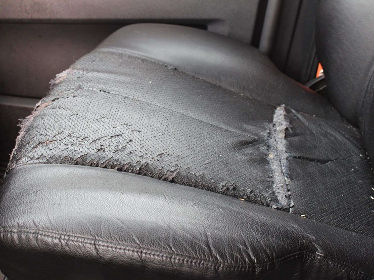 2019-freightliner-cascadia-126-image-42