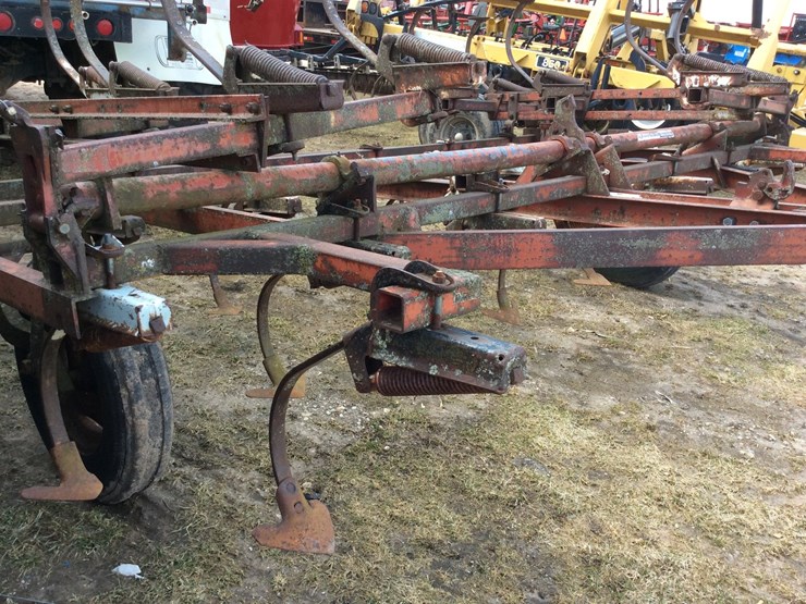 international-45-image-5