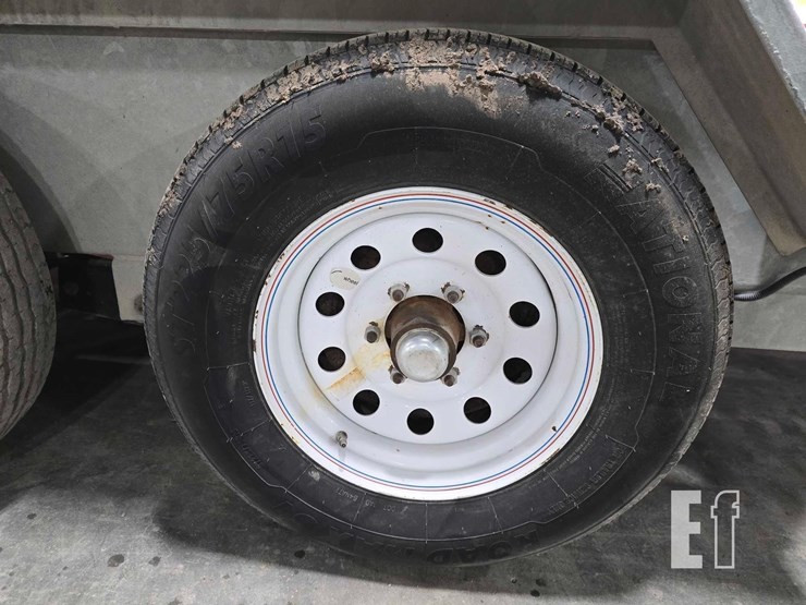 2019-felling-image-17