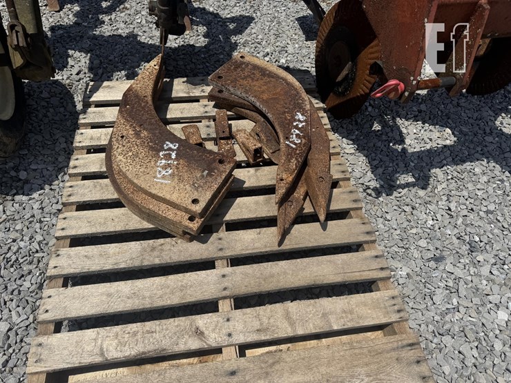 international-14-image-3