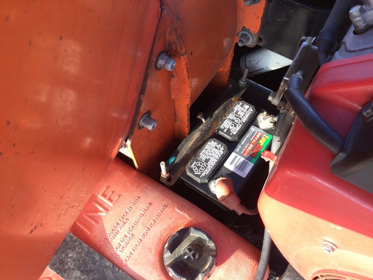 bear-cat-73420-image-5