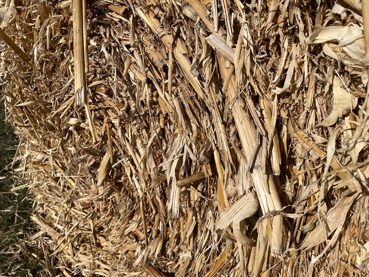 #1500-•-(8)-2025-4'-x-5'-corn-stalk-round-bales-(connersville,-wi)-image-8