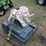 #1103-elephant-coin-op-machine-no-mechanism-needs-image-2