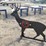 #7401-•-3/8-in.-ar500-steel-deer-shooting-target-image-1