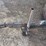 hale-livestock-trailer-image-11