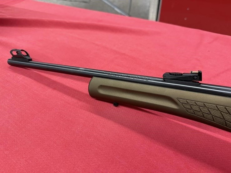 rossi-rs22-.22-lr-rifle-image-5