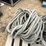 #3920-•-(4)-bundles-of-rope-image-5