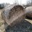 #1504-•-(8)-2025-4'-x-5'-corn-stalk-round-bales-(connersville,-wi)-image-3