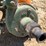 #3960-•-ace-sprayer-pump-image-5