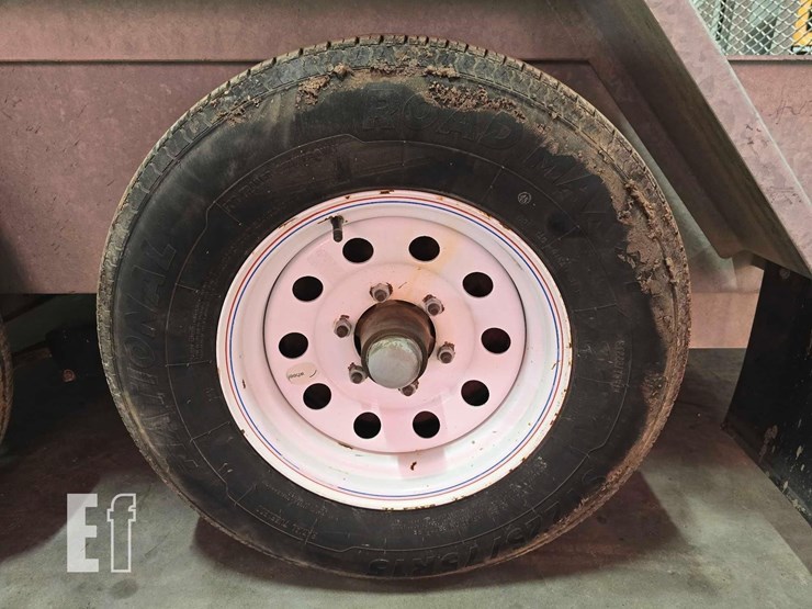 2019-felling-image-15