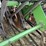 john-deere-9350-image-3
