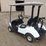 #6604-•-yamaha-g16-gas-golf-cart-image-6
