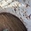 hale-livestock-trailer-image-20