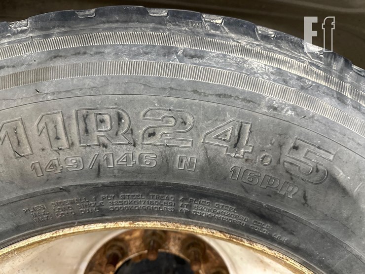 2020-dragon-6219-image-24