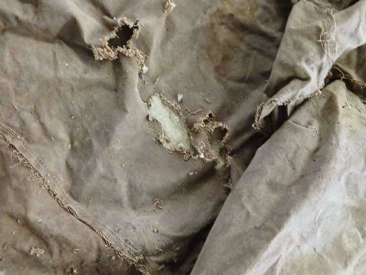 canvas-cover-image-7