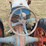 fordson-all-around-england-tractor-image-24