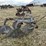 two-bottom-fordson-plow-image-2
