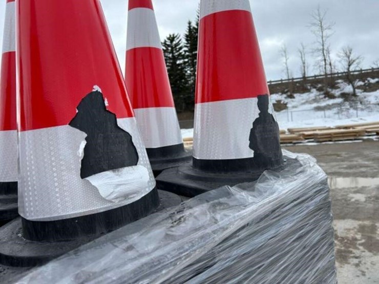 unused-2025-qty-of-(250)-sdlanch-irstc-safety-image-6