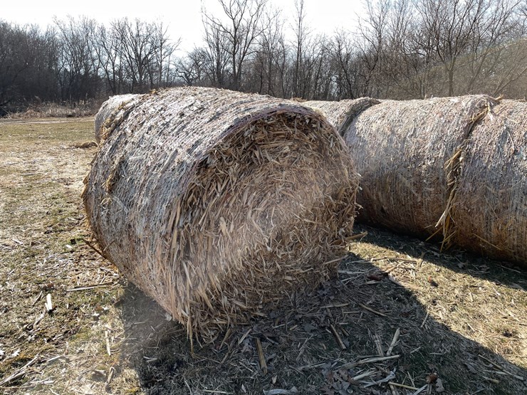 #1502-•-(8)-2025-4'-x-5'-corn-stalk-round-bales-(connersville,-wi)-image-2