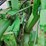 1974-john-deere-7520-image-17