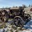 fordson-image-1