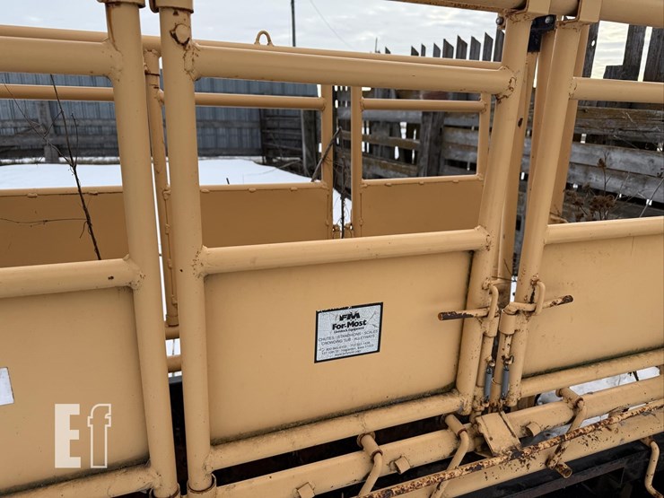 for-most-450-image-8