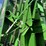 john-deere-569-image-15