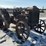 fordson-image-6