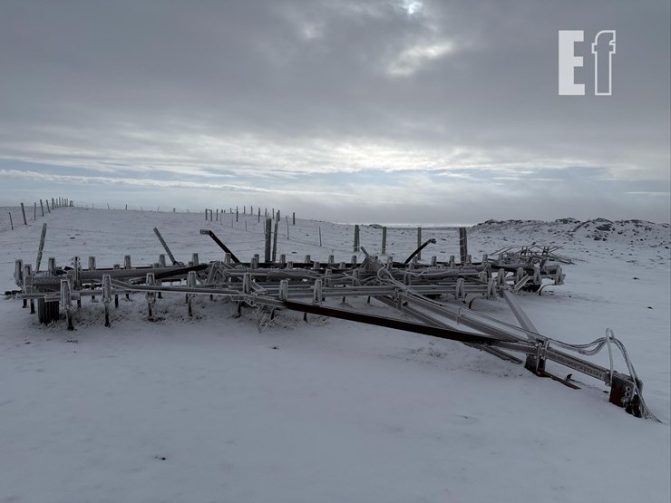 wil-rich-34'-2536-image-1