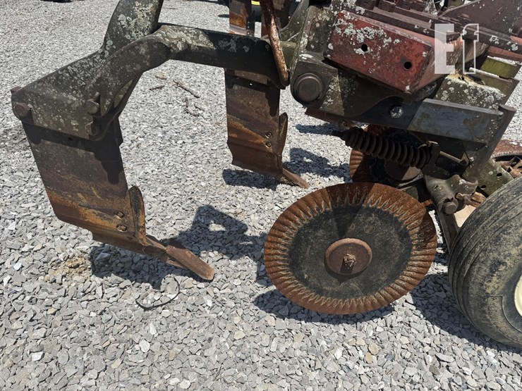 international-14-image-5