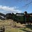 john-deere-threshing-machine-with-hart-feeder-image-6