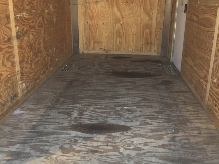 2014-bravo-scout-image-4