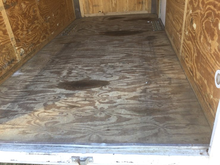 2014-bravo-scout-image-8