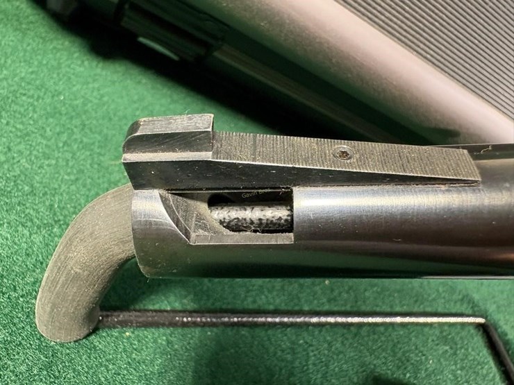 ruger-22-lr-pistol-image-9