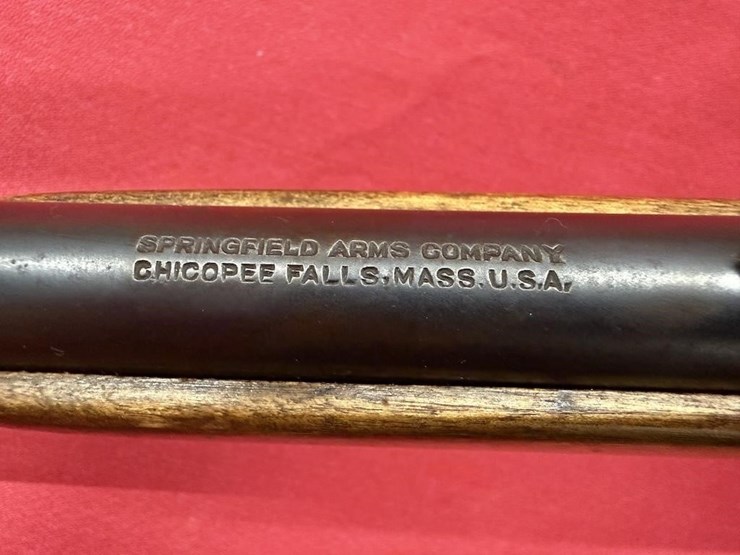 springfield-s,l,lr-.22-rifle-image-10