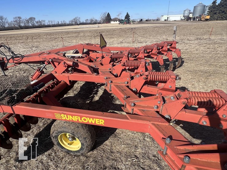 sunflower-4110-image-9