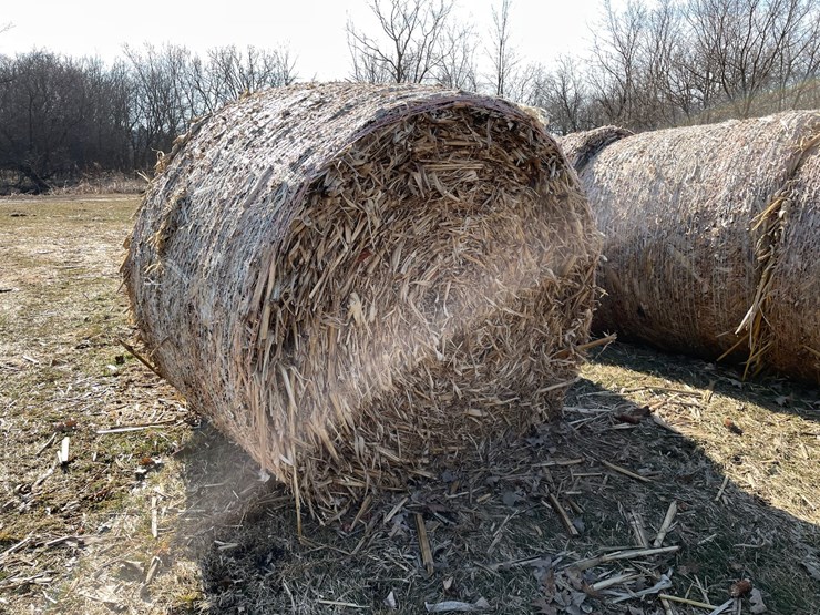 #1501-•-(8)-2025-4'-x-5'-corn-stalk-round-bales-(connersville,-wi)-image-3