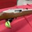 ruger-10/22-.22-lr-rifle-image-1