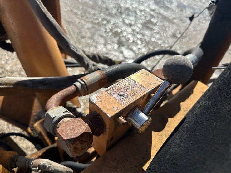 case-maxi-sneaker-image-46