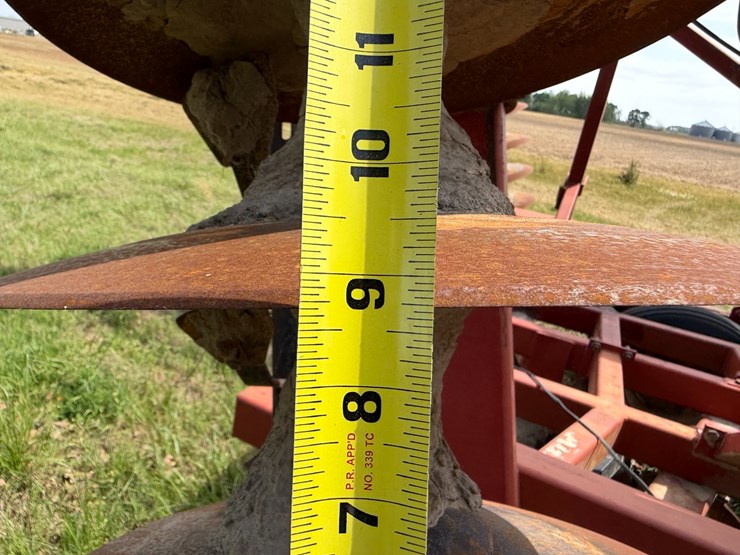 sunflower-1233-32-image-59