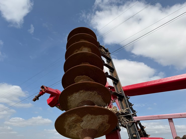 sunflower-1234-image-38